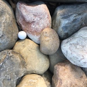 1 - 3 Delaware River Stone - sold per ton — Timothy's Center for Gardening